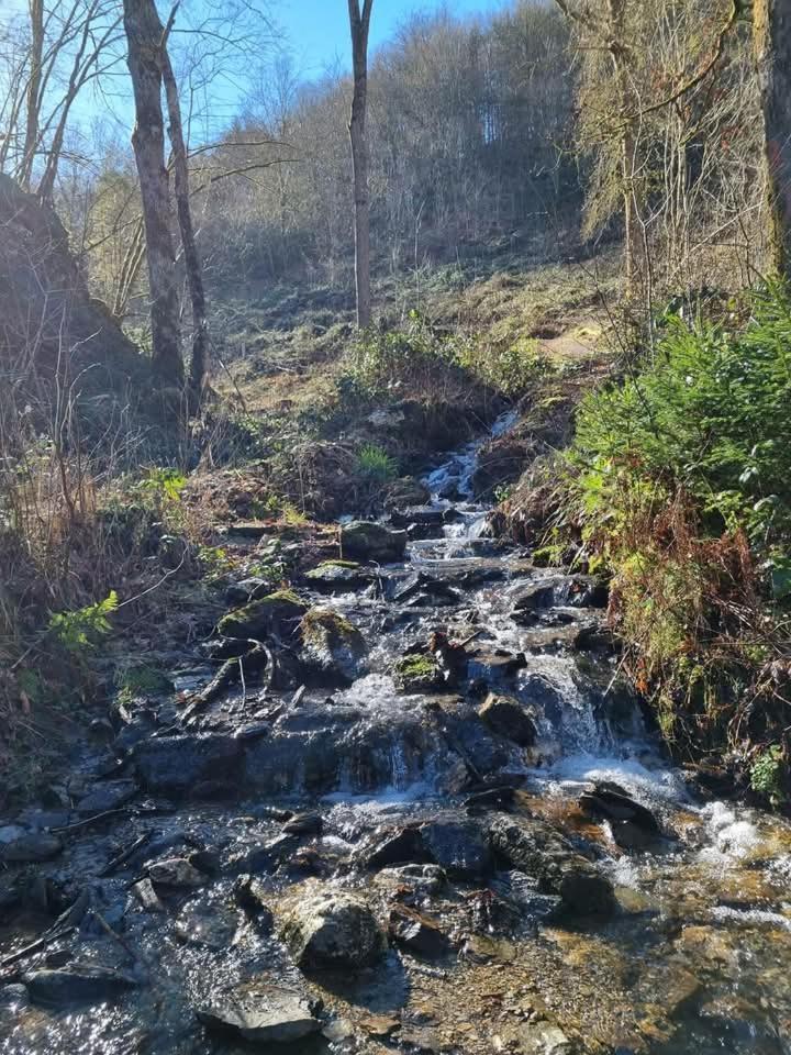 Au Vieux Lavoir Alle Zewnętrze zdjęcie